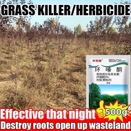 【3 seconds to remove big trees】herbicide to kill tree,hexazione which can effectively kill big trees