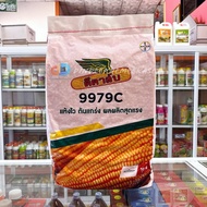 เมล็ดพันธุ์ข้าวโพด ดีคาร์บ 9979C : 10 กก.3.5หุน แห้งไว ต้นแกร่ง ผลผลิตสุดแรง