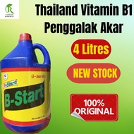 Thailand Baja Vitamin Pokok B1  Penggalak Akar 4 Litres / Vitamine B1 Root Speed Booster