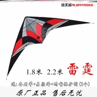 Competitive Kite Beginner Triangle Kite Stimulation Stunt Double Line Thunder Sports Albatross Game-