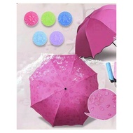 Unique 3D Design Folding Umbrella - Stylish and Compact Solution for Quiet Weather