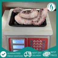 Tentacle Octopus 鱿鱼须 Sotong Kurita Tentakel (500gm-1kg+-/Pack) | Rhumajaya Seafood