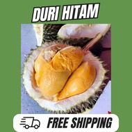 [FREE SHIPPING] Anak pokok Durian D200 / duri hitam
