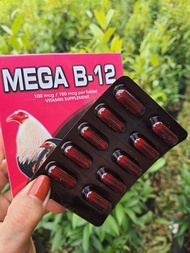 Mega b12 hộp 100v. Dinh dưỡng cho gà đá