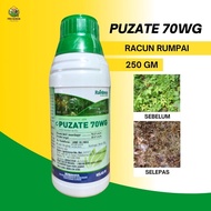 Puzate 70WG Herbicide Racun Rumput Dalam Kebun Racun Rumput Kelapa Sawit Racun Rumput Kerbau Setawar