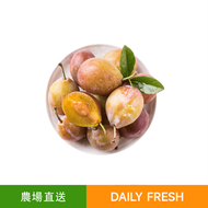 新鮮西梅（500g）果香濃郁 酸甜可口
