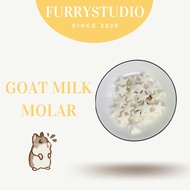 Goat milk molar Hamster treats Small animals treats hamster snacks 羊奶磨牙片