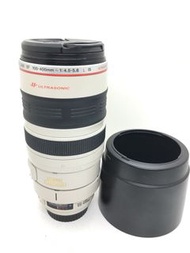 Canon 100-400mm F4.5-5.6 L IS