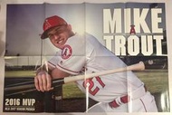 MLB美國職棒大聯盟 海報 美國聯盟 天使 打者 MVP 神鱒 鱒魚 TROUT 楚奧特