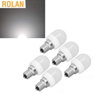 Rolan E12 Light Bulbs  AC220V for Wall Lamp