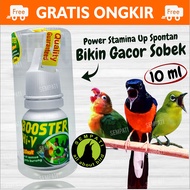 Booster Hi-V 220volt Booster Hivi Hi V 220v 10ml Vitamin Doping Bird Medicine Pleci Enhancer Stamina