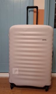 LOJEL ALTO collection