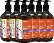 Natural Solution Himalayan Pink Salt Moisturizing Hand Wash, Formulated with Lavender Oil, Relaxing &amp; Purifying Natural Liquid Soap, Pack 6, 14 oz Each (6 Pack), 84 Fluid Ounces