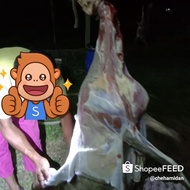 Daging kambing biri2 fresh segar dari ladang