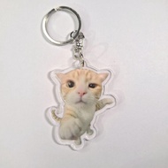 Meme cat keychain/keychain-1
