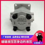 | High Pressure Gear Pump HGP-2A-F2R F3R F4R F6R F7R F9R F10R F12R