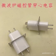 Microwave Oven Magnetron Socket Pin Filament Socket Magnetic Control Tube Pins（With Through-Hole Cap