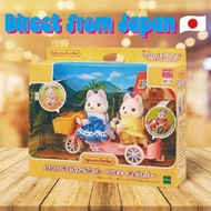 Sylvanian family Husky Siblings with a tandem bicycle