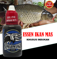 ESSEN SEMAR WANGI IKAN MAS GALATAMA - ESSEN SEMAR WANGI IKAN MAS INDUKAN - ESSEN SEMAR WANGI IKAN MA