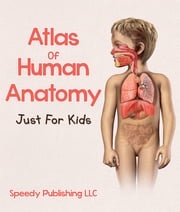 Atlas Of Human Anatomy Just For Kids Speedy Publishing