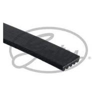 Front Engine Belt 5PK TOYOTA CAMRY SXV10 5SFE 2.2 1991-1996