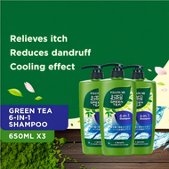 [Bundle of 3] Follow Me Green Tea Shampoo (6-in-1) 650ml