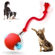 2026 Mainan Kucing Interaktif Bola Anjing Berguling Sendiri Baharu Mainan Kucing Automatik Mainan An