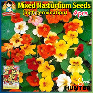 High Quality Mixed Edible Nasturtium Plant Seeds Flower Seeds Easy Grow Malaysia (High germination 4