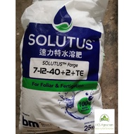 (+-25KG) Baja foliar/fertigasi Fast soluble EC fertilizer Behn Meyer SOLUTUS Forge 速力特水溶肥 7-12-40+2+Te