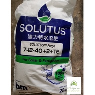 (+-25KG) Baja foliar/fertigasi Fast soluble EC fertilizer Behn Meyer SOLUTUS Forge 速力特水溶肥 7-12-40+2+