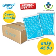 Fast Delivery A Box Of igloogel ezy 400 Grams Cooling Gel Temperature 0 C Keeps For 6-8 Hours.