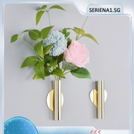 [seriena1.sg] Wall Mounted Flowers Vase Plant Holder Modern Nordic Style Home Offices Decor