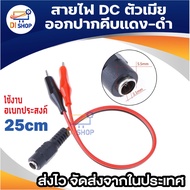 คลิปหนีบ สายคีบ คลิปปากจระเข้ ที่หนีบ เชื่อมต่อ แจ็ค 5.5 x 2.1 mm DC Male / Female Jack (พร้อมส่งในไ