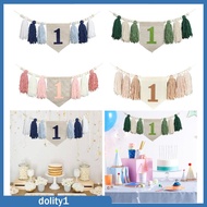[Dolity1] 1ST Birthday Decoration Baby Birthday Party Decoration Party Backdrop Garland Birthday 1ST