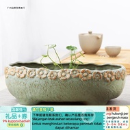 Contact before order】Pot Hydrocotyle Sleeping Lotus Pot Hydroponic Lotus Flowerpot Container Indoor 