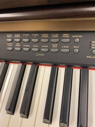 (有保固)Yamaha 電鋼琴CLP230觸感重，高階機種 原價54500
