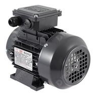 TechTop Motor 40HP(30KW)  B3(Foot) 3PH IE2