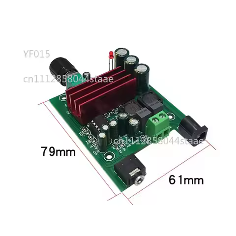 TPA3116D2 Full-Range Mono Digital Circuit Board 100W With NE5532 Pre-stage Operational Chip