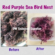 Sabah Dried Seaweed/ Sea Bird Nest /Red Purple sea Bird Nest/ 500G 海底燕窝 /珊瑚草 Rumpai Laut Kering -PRO