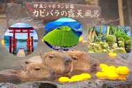 [Seasonal Limited] Hakone Izu Day Tour | Hakone Shrine & Izu Cactus Zoo & Capybara Hot Springs & Mt.