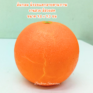 ผลไม้ปลอม งานสวยเหมือนจริง สำหรับตกแต่งบ้าน ร้านค้า  ร้านน้ำผลไม้ พร๊อพถ่ายภาพ ของเล่นสเหมือนจริง แบ