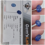NATURAL Blue Sapphire Ceylon 19ct memo GLI Heat Safir Srilanka Bagus