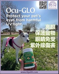Ocu-GLO Chewable XL 亮眼 軟糖/肉粒裝 中大型犬 (30 軟粒)