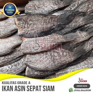 Ikan Asin Sepat Siam KERING Import/Sepat Siam Ikan Asin Thailand