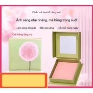 New Dandelion Blush Bet Beijia 6g