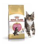 Royal Canin Kitten Mainecoon 400gr