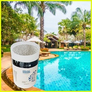 【hot sale】 CHLORINE GRANULES 1kg for Swimming Pool Disinfectant chlorine powder 1kiol  high purity
