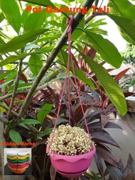 Vas Bunga Gantung Tali/ Pot Bunga Gantung / Vas Putih