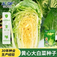 Huangxinqiu Chinese Cabbage Seeds Seeds Seeds Vegetable Seeds Bailai Four Seasons Potted Autumn Wint