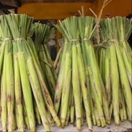 terubuk sayur 1 kg | Terubus Segar | Sayuran Terubuk | Telur Ikan Terubuk | Endog tebu | sayur Tebu